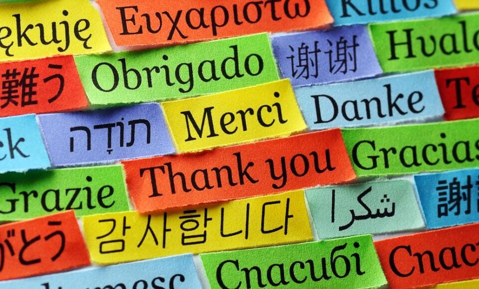 Become a Polyglot