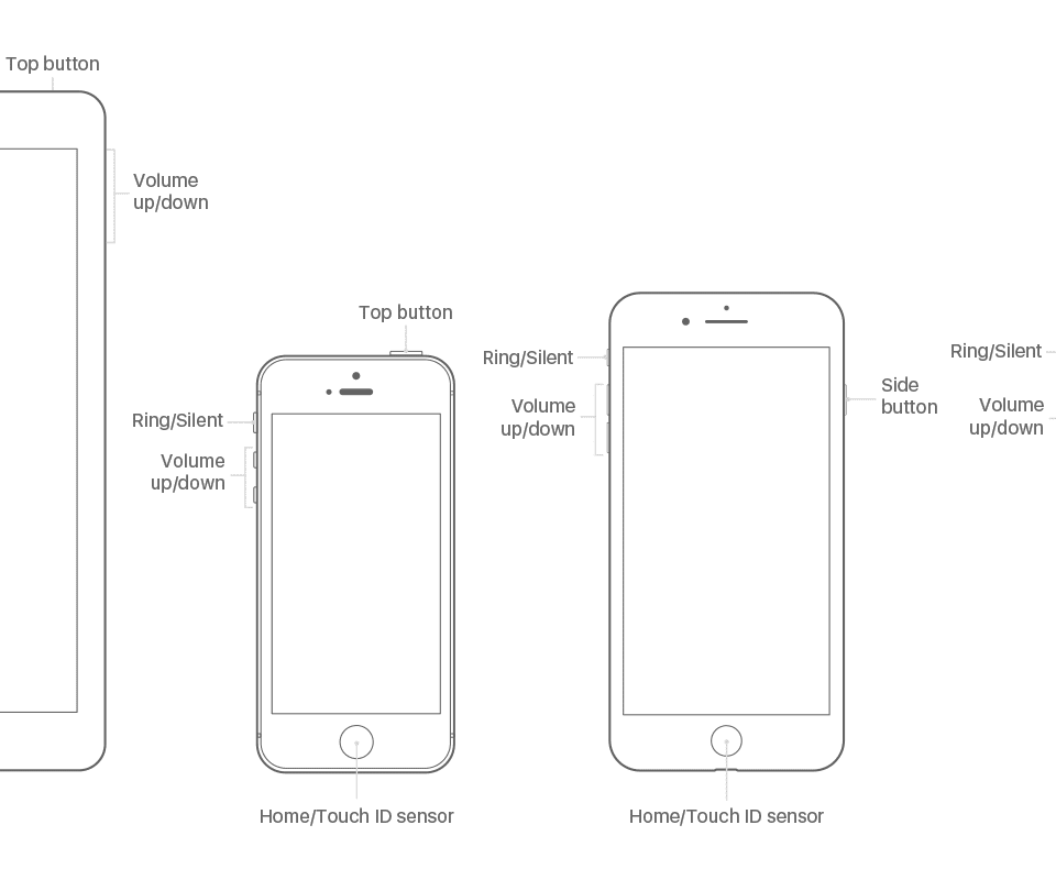 White Screen iPhone X