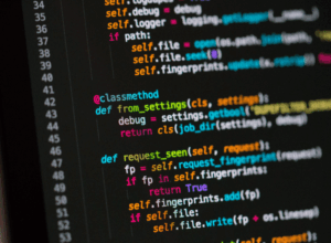 Software Developer