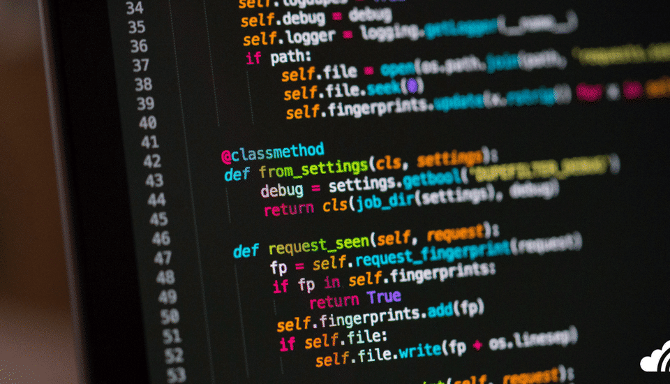 Software Developer