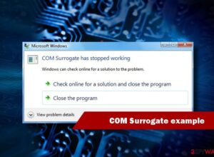 Error COM Surrogate Has Stopped Working