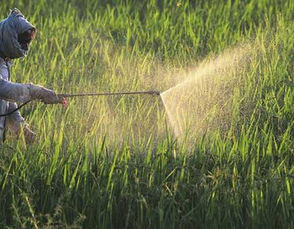 Insecticides