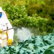 Pesticides