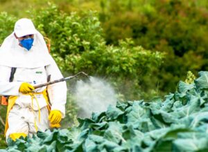 Pesticides