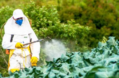 Pesticides