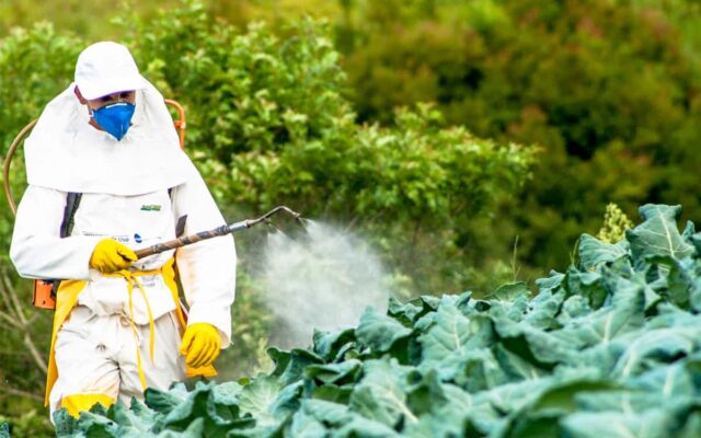 Pesticides