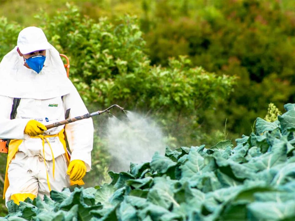 Pesticides