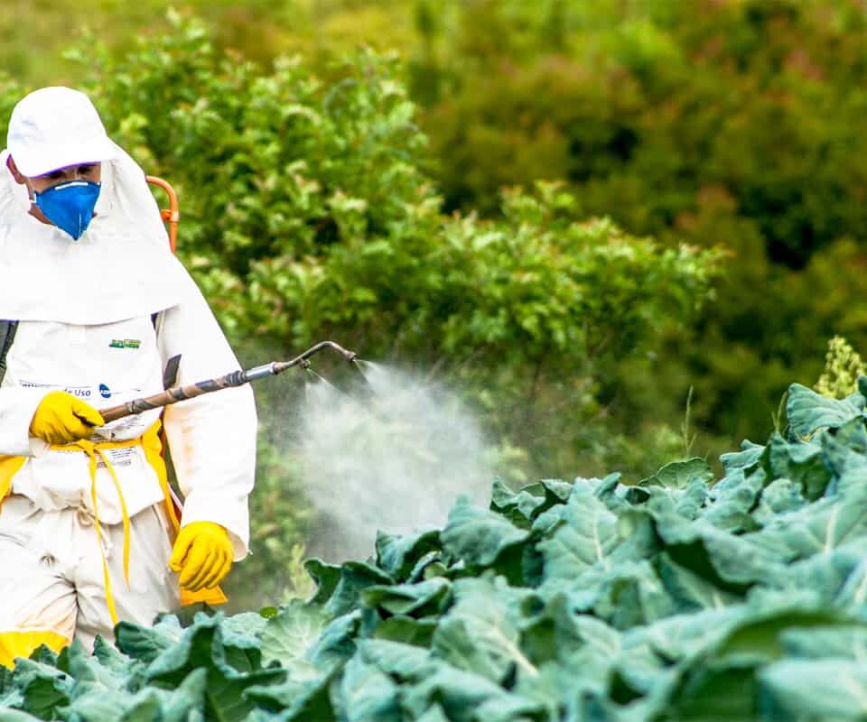 Pesticides