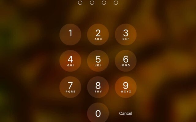 iPhone Password