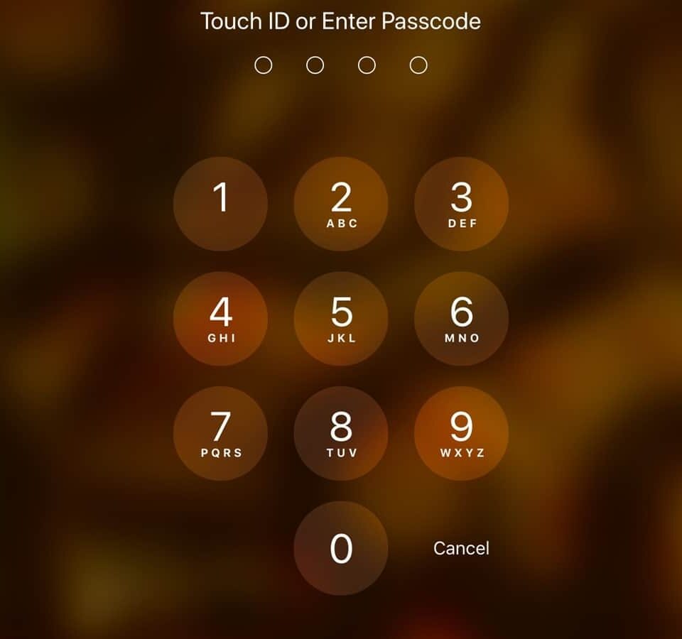 iPhone Password