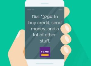 FCMB USSD Code *329#
