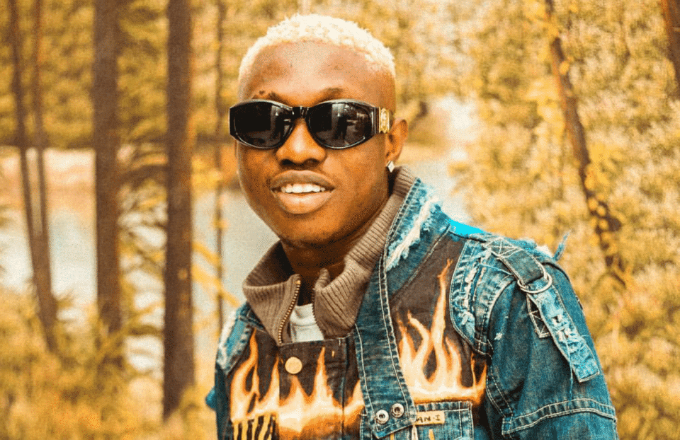 Zlatan Ibile net worth