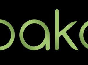 IbakaTV