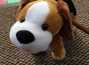Walking Dog Toy