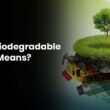 Biodegradable