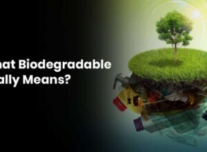 Biodegradable