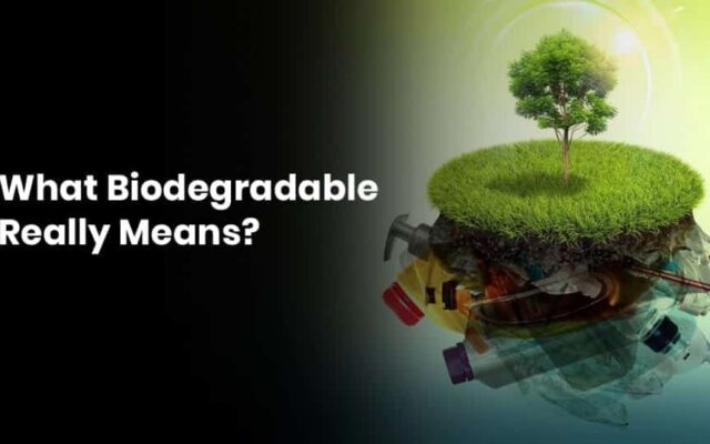 Biodegradable