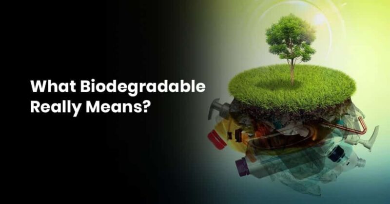 Biodegradable