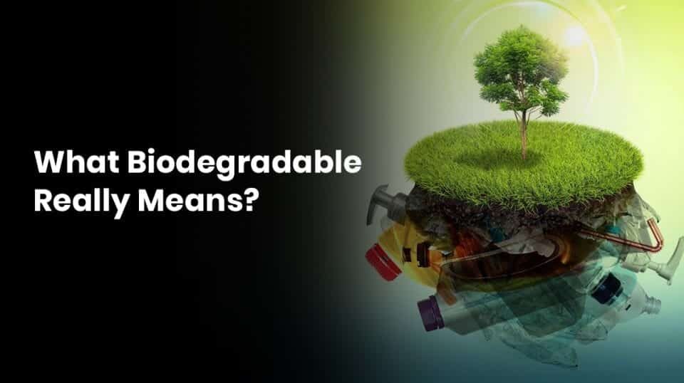 Biodegradable