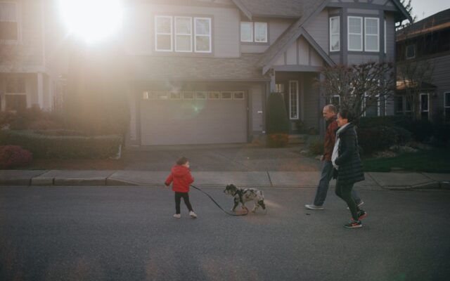 Dog Breeds For Your Kids