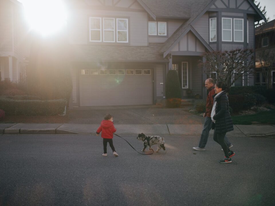 Dog Breeds For Your Kids