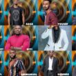 Big Brother Naija Season 6 Male Housemates