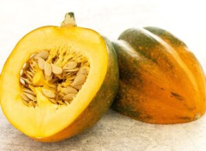 Different Types of Squash