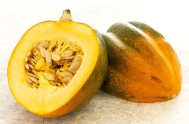 Different Types of Squash