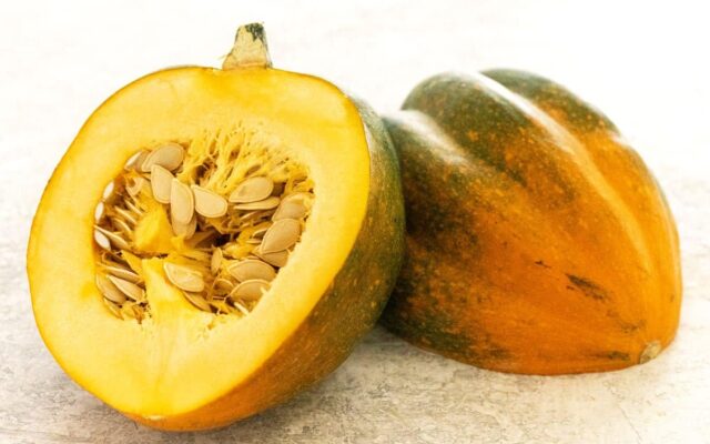 Different Types of Squash