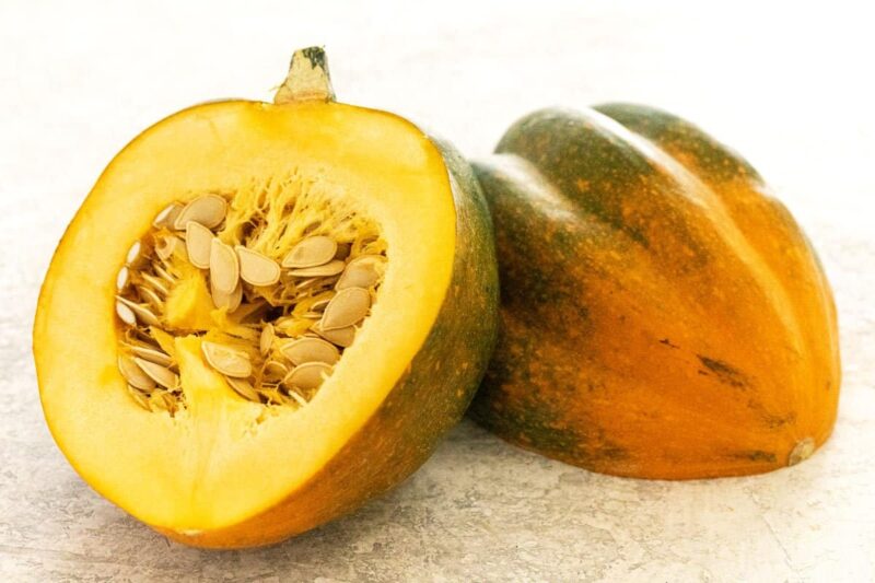 Different Types of Squash