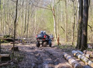 Best ATVs for Trail Riding