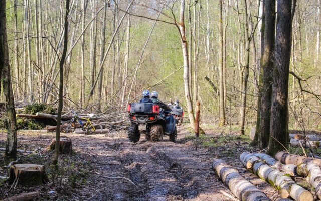 Best ATVs for Trail Riding