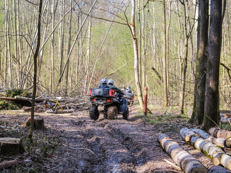 Best ATVs for Trail Riding