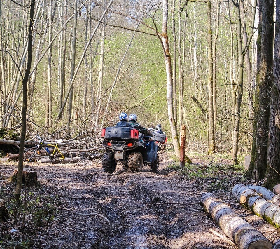 Best ATVs for Trail Riding