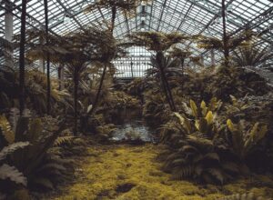 Greenhouse