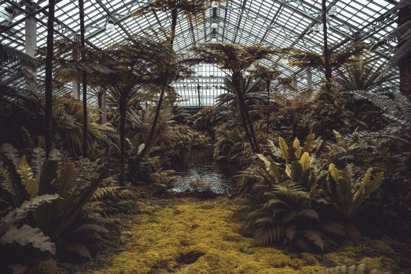 Greenhouse