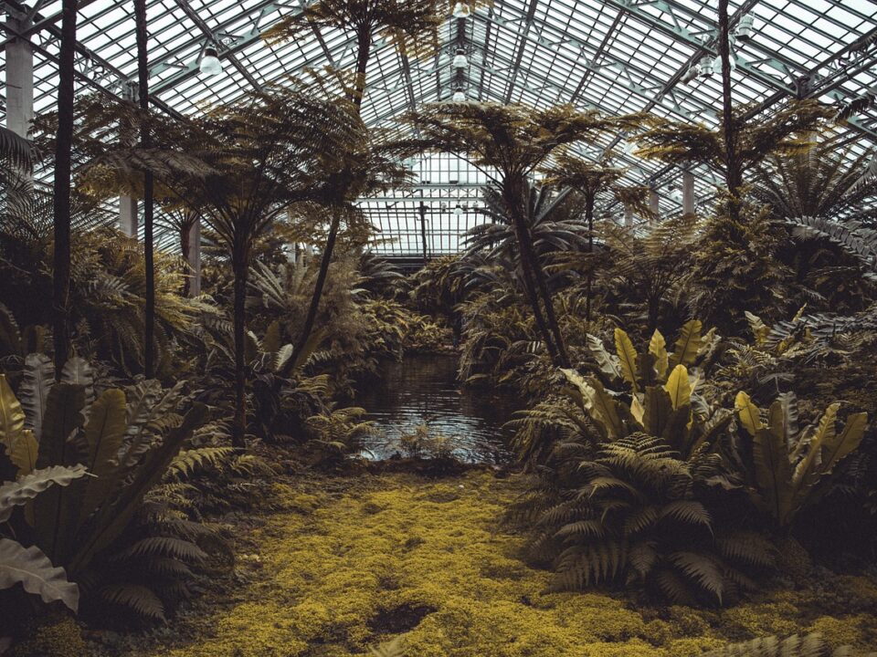 Greenhouse