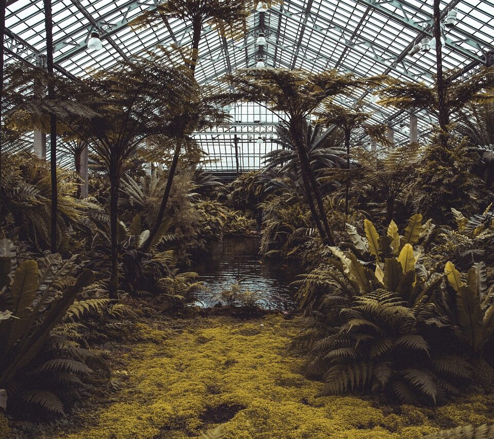 Greenhouse