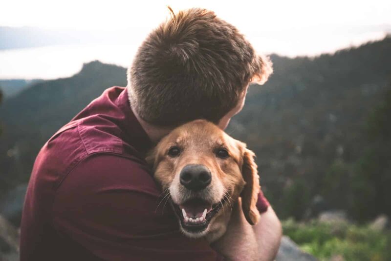 Ways to Make Your Dog More People-Friendly