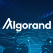 World Of Algorand