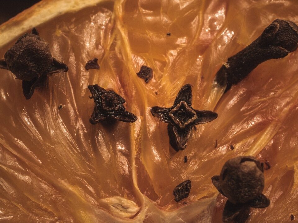 Different Types of Air Fresheners