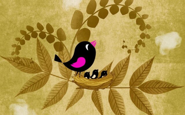 Different Types of Wallpapers