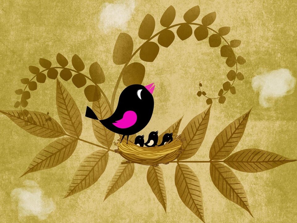 Different Types of Wallpapers