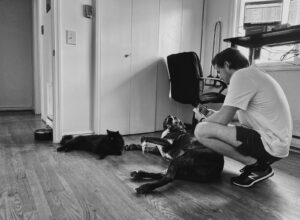 Best Dog Breeds for Apartment Living