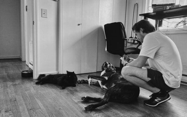 Best Dog Breeds for Apartment Living