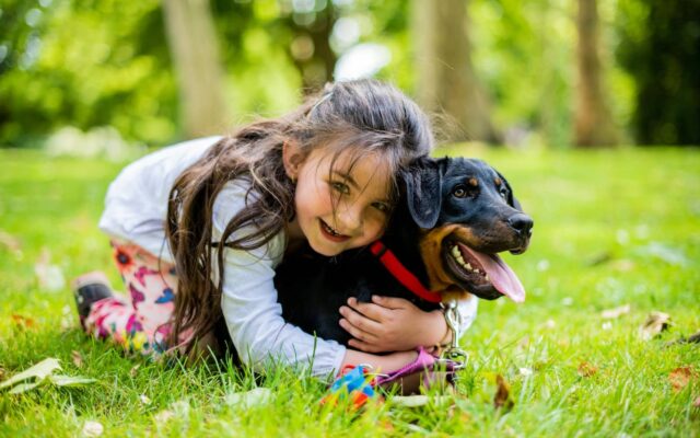 Best Dog Breeds for Kids
