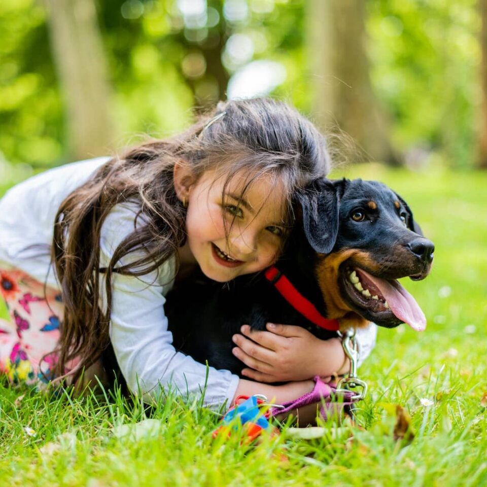Best Dog Breeds for Kids