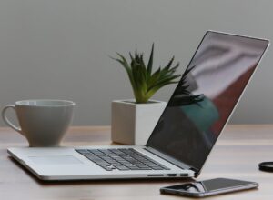 Best Plants for Office Space