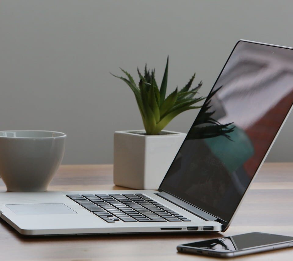 Best Plants for Office Space