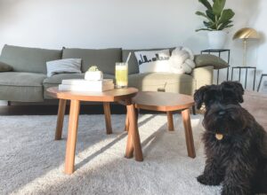 Choosing the Perfect Carpet for Your Living Room